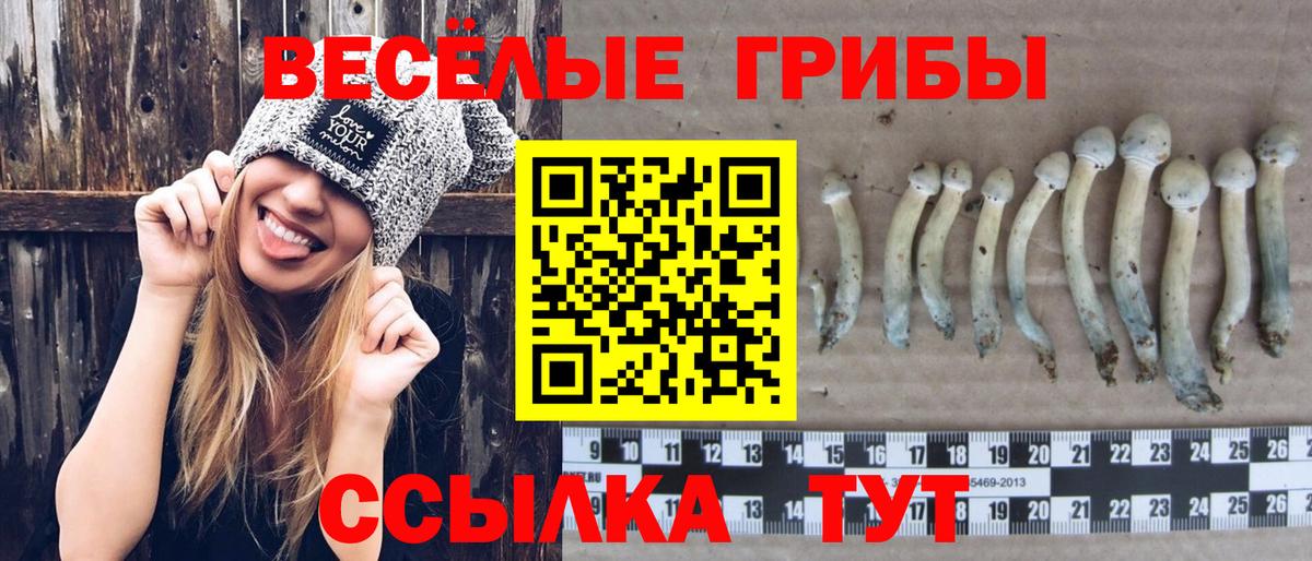 Вятские Поляны  Галлюциногенные грибы Cubensis  Вход с VPN 
